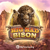 Bisonte Malvado screenshot